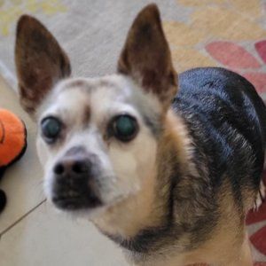 Meet your Posher, Fabiola